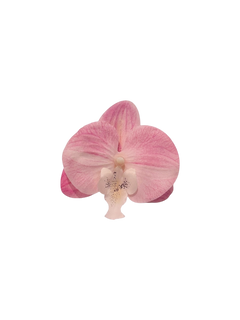 Pink Orchid Hair Clip/ Safety Pin Brooch