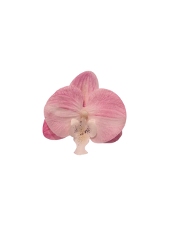 Pink Orchid Hair Clip/ Safety Pin Brooch - Angel Ruche