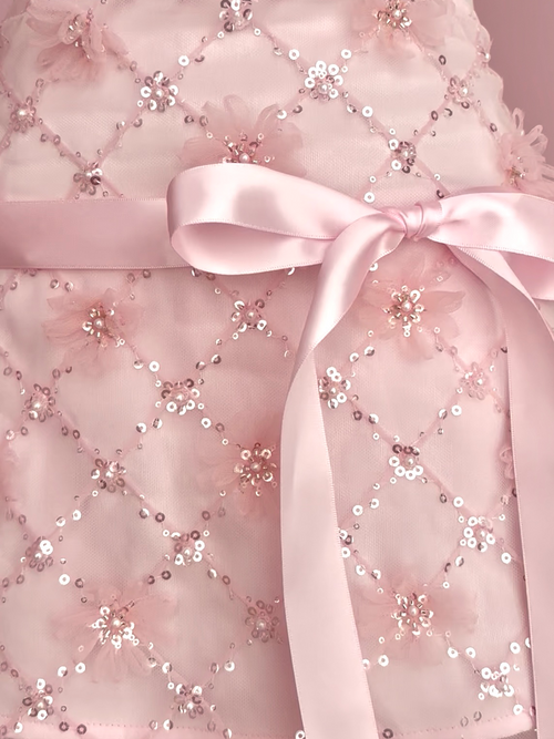 Averie Beaded Sequin Skirt + Lace Shorts