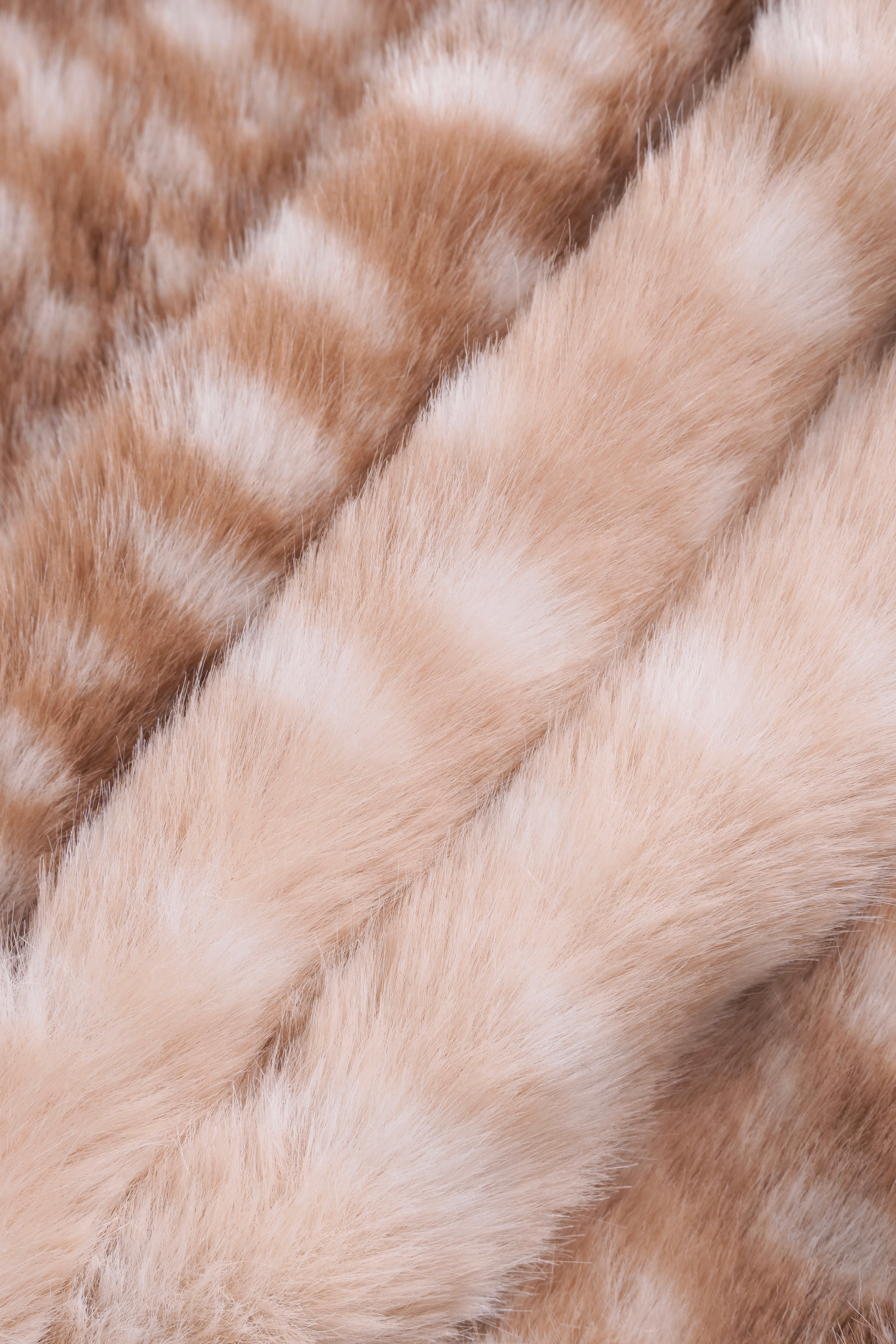 Must-Have Fashion Trends to Elevate Your Wardrobe This Season - Angel Ruche