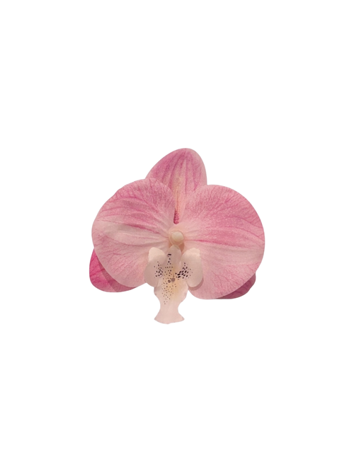 Pink Orchid Hair Clip/ Safety Pin Brooch